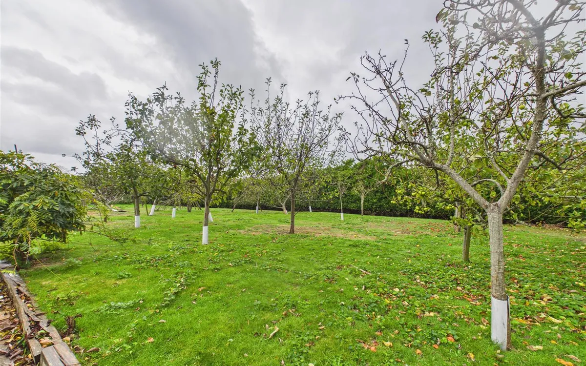 Le vieux beaumont st peter 35021781 cam05512 g0 pr0087 still037