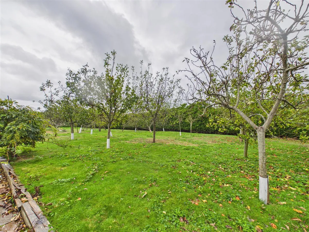 Le vieux beaumont st peter 35021781 cam05512 g0 pr0087 still037