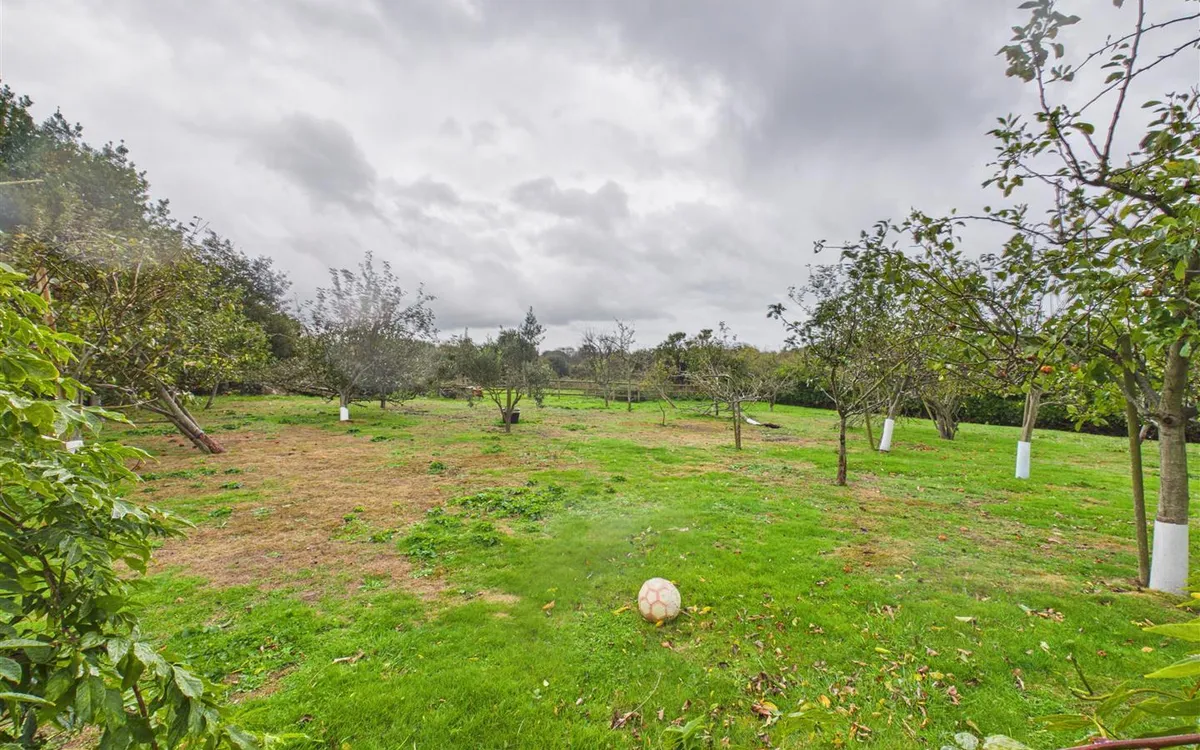 Le vieux beaumont st peter 35021781 cam05512 g0 pr0087 still038