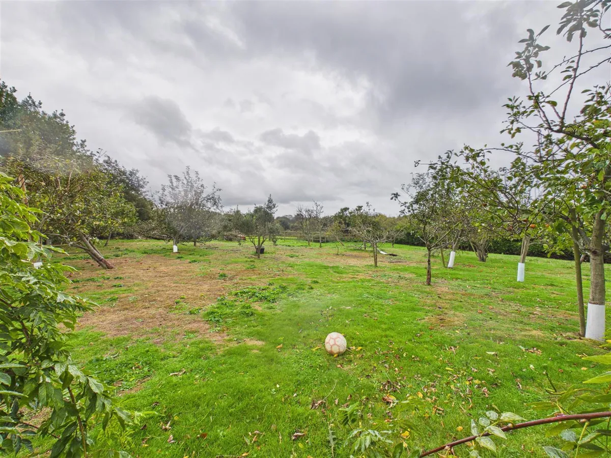 Le vieux beaumont st peter 35021781 cam05512 g0 pr0087 still038