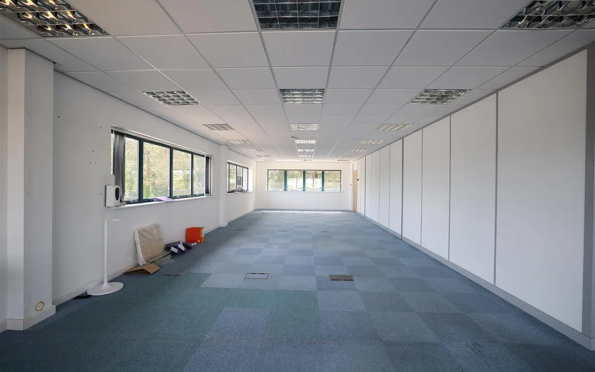 Lavenue de la commune st peter 34007564 ei8 a0349