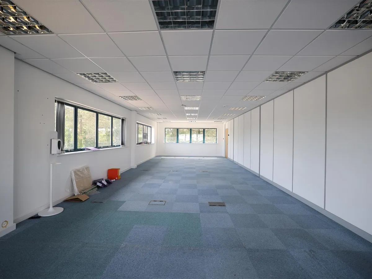 Lavenue de la commune st peter 34007564 ei8 a0349