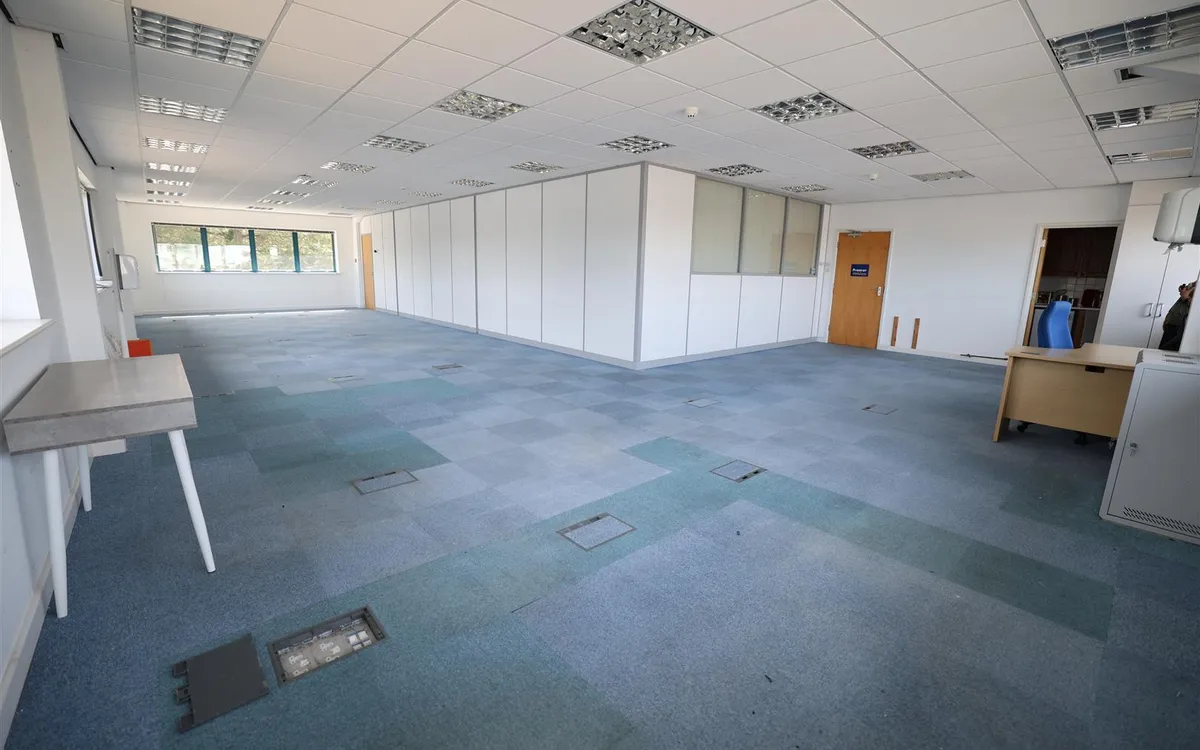 Lavenue de la commune st peter 34007564 ei8 a0352