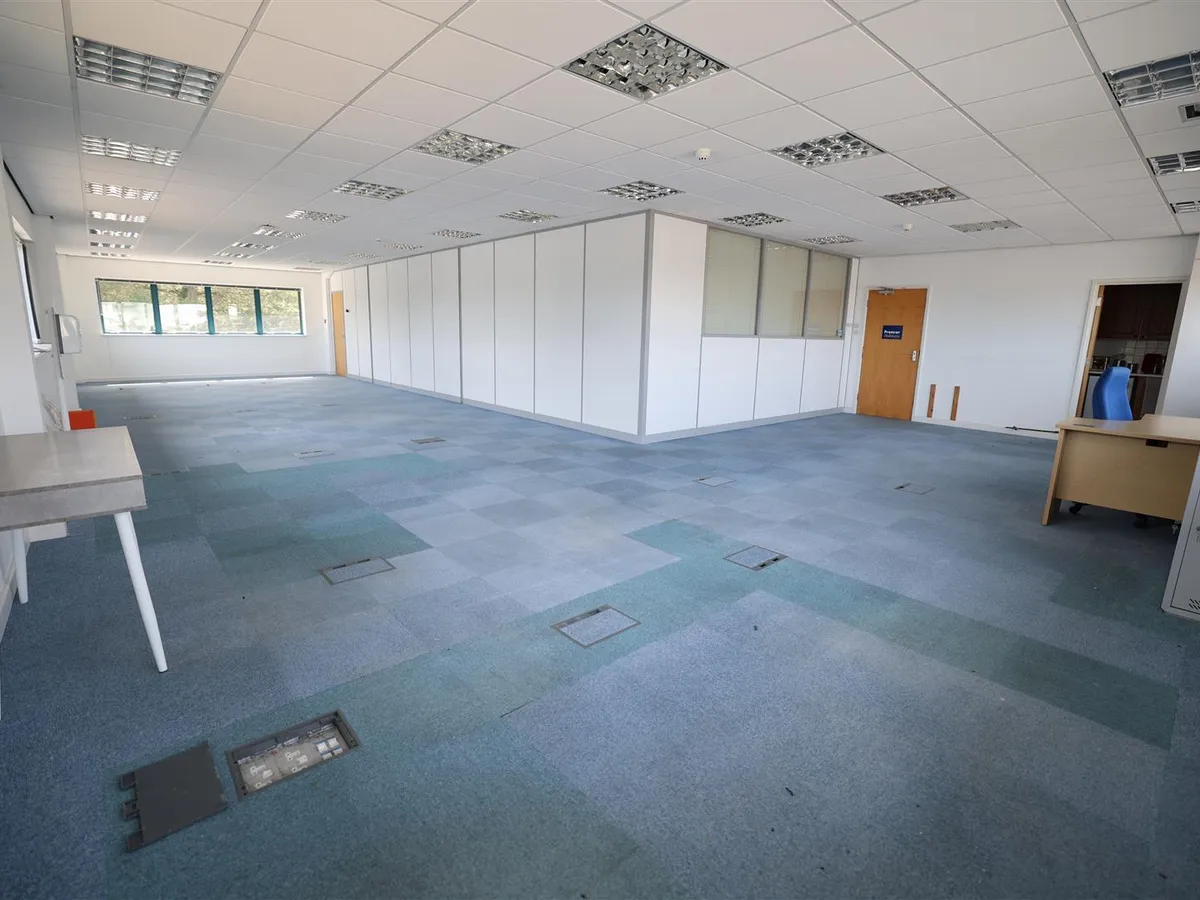 Lavenue de la commune st peter 34007564 ei8 a0352